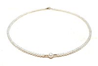 Collier Coscia Perle Femme Le Lune in Or jaune Perla LLGC2151.1